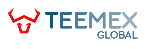 Teemex Logo